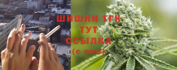 дживик Абаза