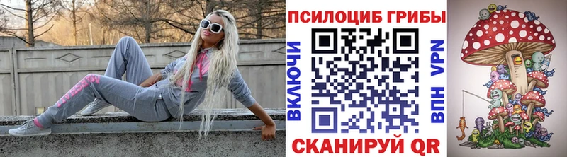 Псилоцибиновые грибы мицелий  Беломорск 